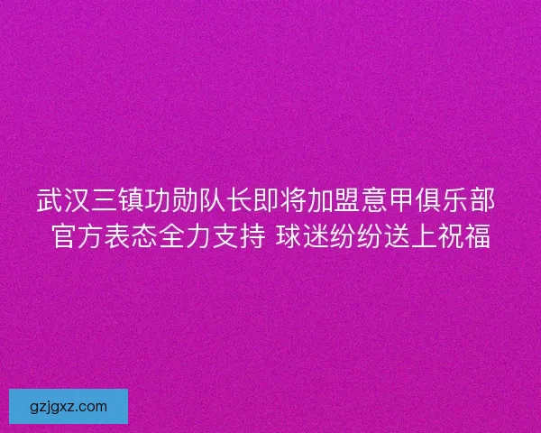 武汉三镇功勋队长即将加盟意甲俱乐部 官方表态全力支持 球迷纷纷送上祝福