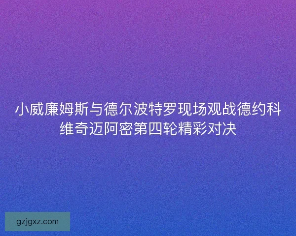 小威廉姆斯与德尔波特罗现场观战德约科维奇迈阿密第四轮精彩对决