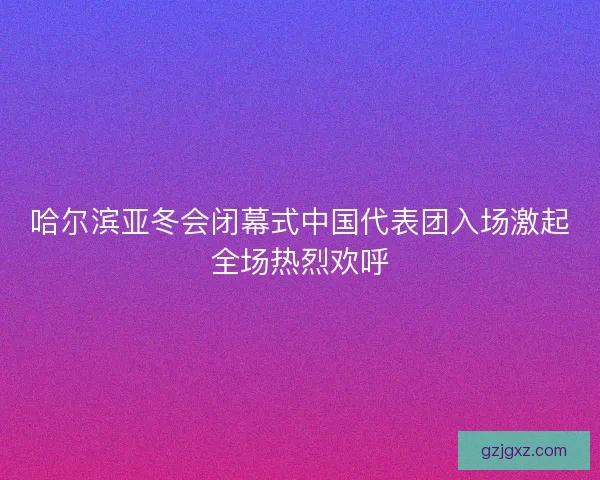 哈尔滨亚冬会闭幕式中国代表团入场激起全场热烈欢呼